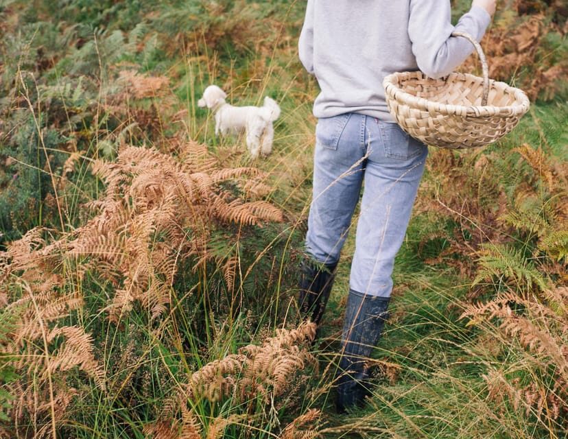 Beginner Foraging Walk: Wild food walking tour & tasters - The 2-mile walk lesson: how identification clicks