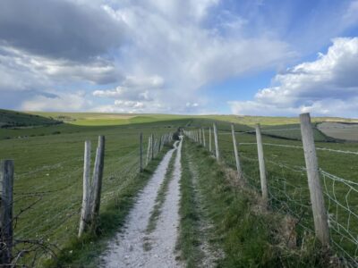 Brighton: Electric Mountain Bike Rental - The Seafront Plan: British Airways i360, Piers, and a Coastal Rhythm