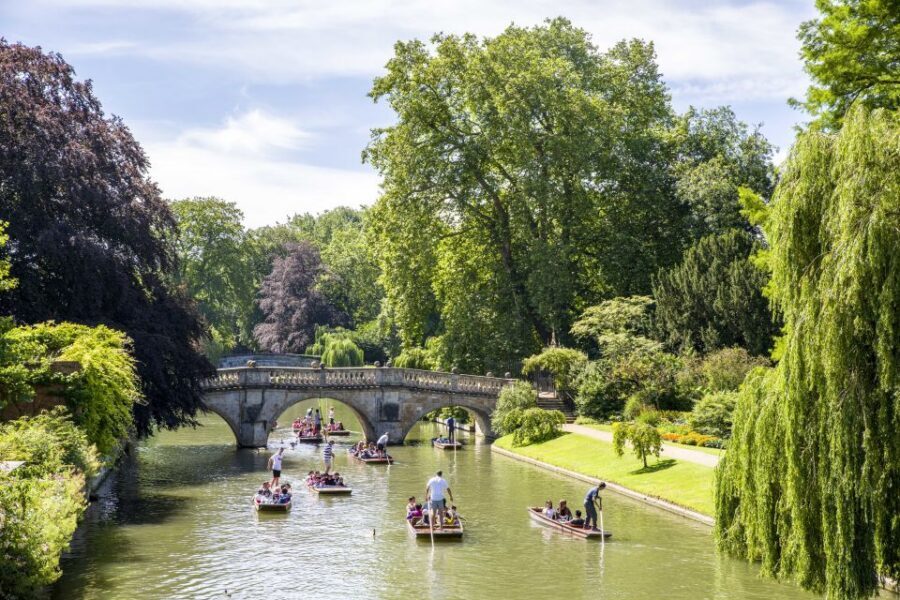Cambridge: Guided River Cam Punting Tour - The guide experience: live stories, calm handling, and real personality