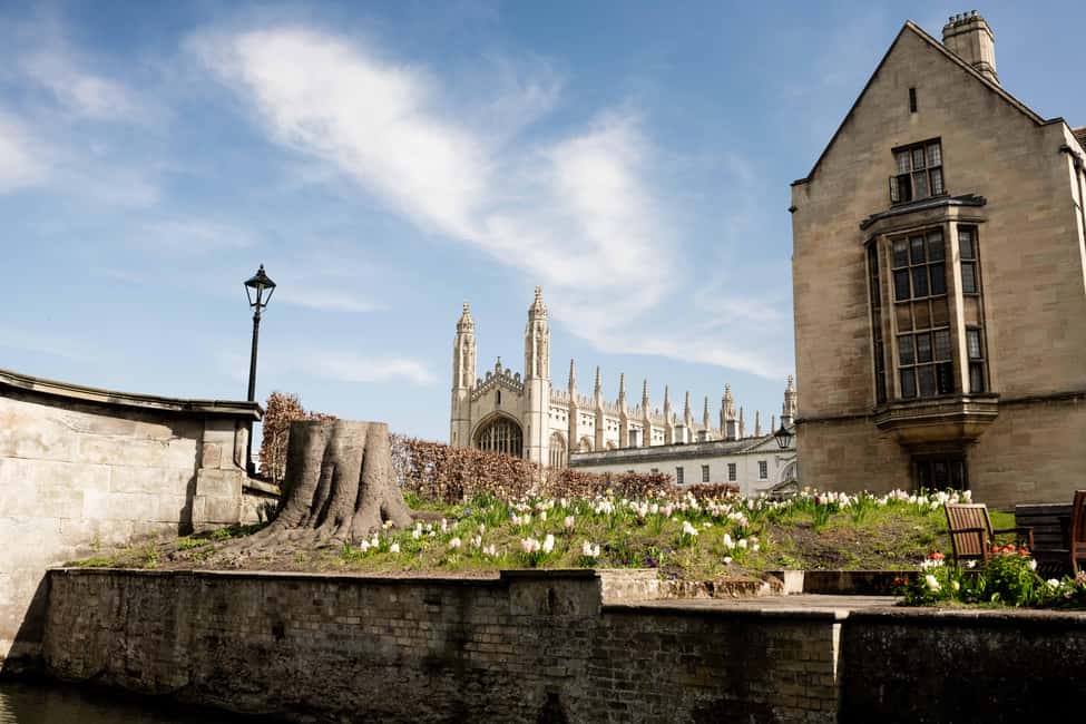 Cambridge: Punting Tour on the River Cam - River Cam punting in 50 minutes: why this is such a smart Cambridge starter