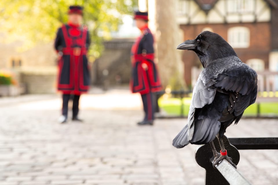 Exclusive Beefeater Meet & Greet at the Tower of London - Price and value: what $66 per person is buying you