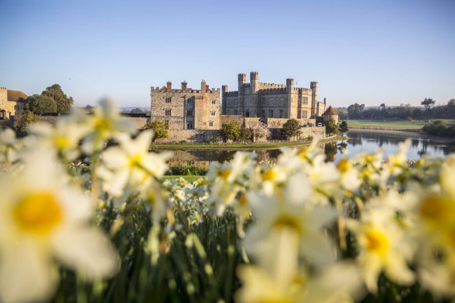 From Brighton: Leeds Castle & Canterbury Full-Day Trip - Inside Leeds Castle: gardens and maze time that actually gives you choices