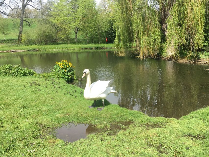 From Brighton: Leeds Castle & Canterbury Full-Day Trip - Aviary spectacle: hawks and eagles without the museum vibe