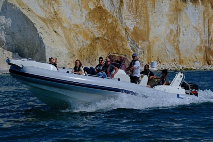 From Brighton: Private Boat Charter - Wildlife spotting that feels doable, not forced