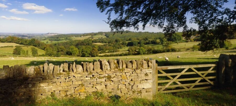 From London: Full-Day Cotswolds Small-Group Tour - Bibury and Arlington Row: The Pretty Walk That Everyone Wants