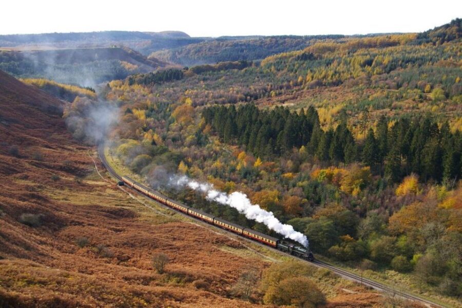 From London: The North York Moors with Steam Train to Whitby - North York Moors by Guided Bus Tour: Stops That Explain What You’re Seeing