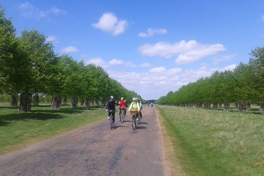 Hampton Court Palace: River Thames Bike Tour - Riding the Thames from Richmond: the calm part of London