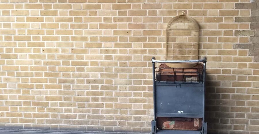 Harry Potter Private Tour of London in Spanish - Leadenhall Market and Diagon Alley energy without needing a portal