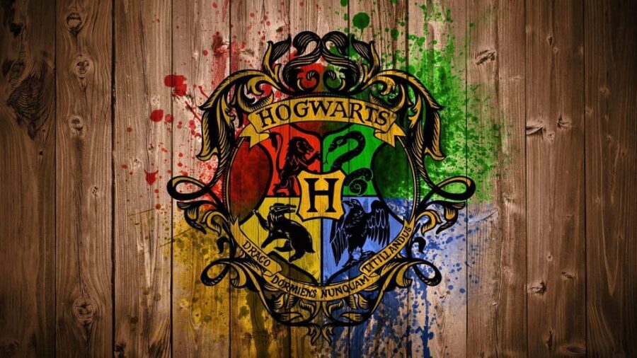 Harry Potter Private Tour of London in Spanish - Price and value: $175 per group up to 5 for a private 3-hour magic mission
