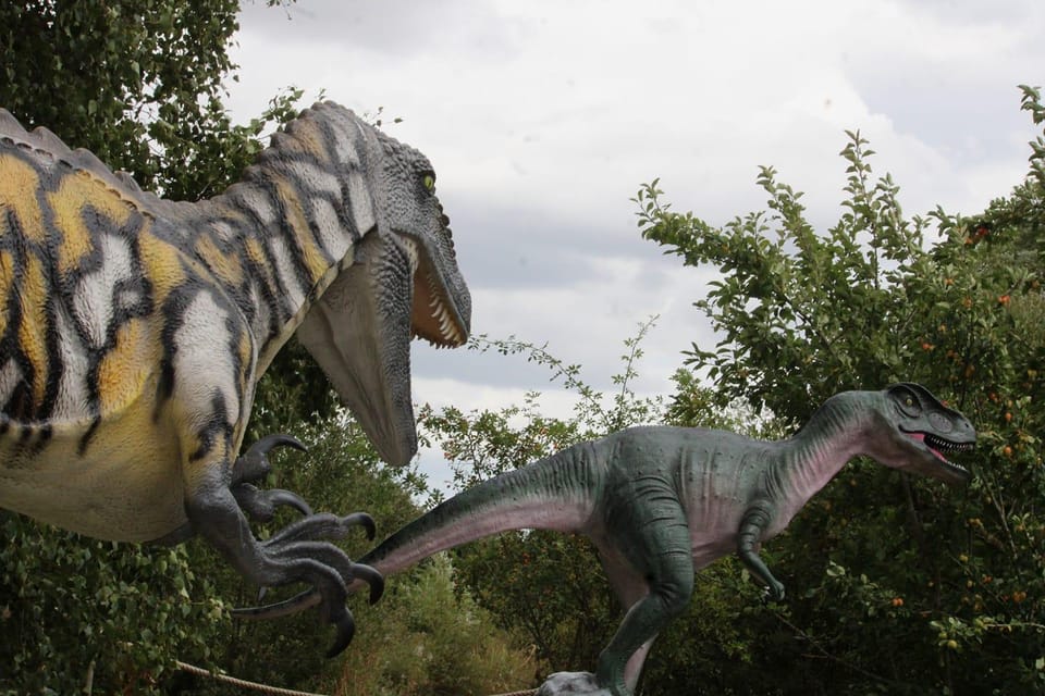 Lincolnshire: ARK Wildlife and Dinosaur Park Entry Ticket - Carnivores and wildcats: a rare-species style draw for animal lovers