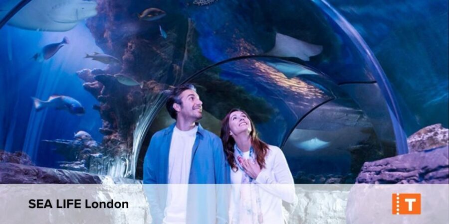 London City pass: Top attractions, Hop on Hop off & tours - Your digital pass setup (and why your phone matters)