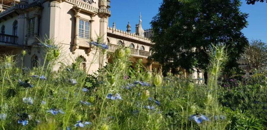 London: Guided Day Trip to Brighton and Seven Sisters - Key points worth knowing