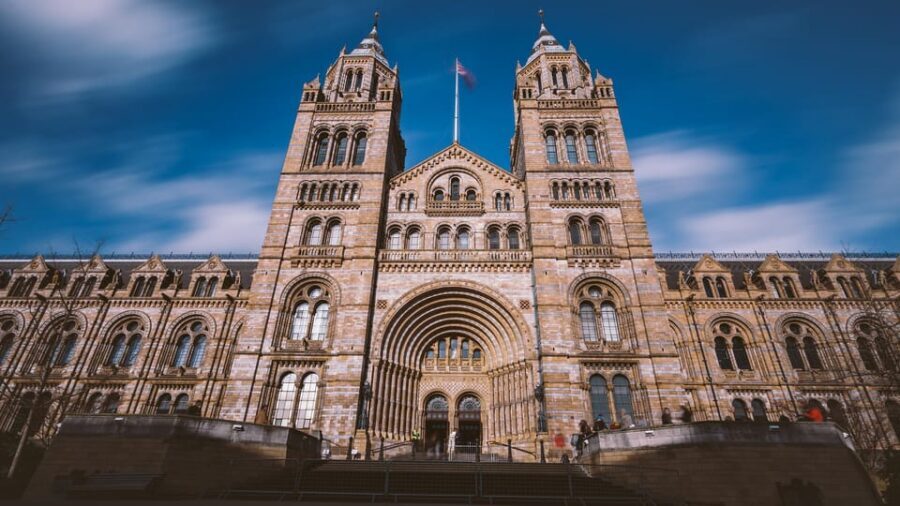 London: Guided Tour of the Natural History Museum - Key things to know before you go