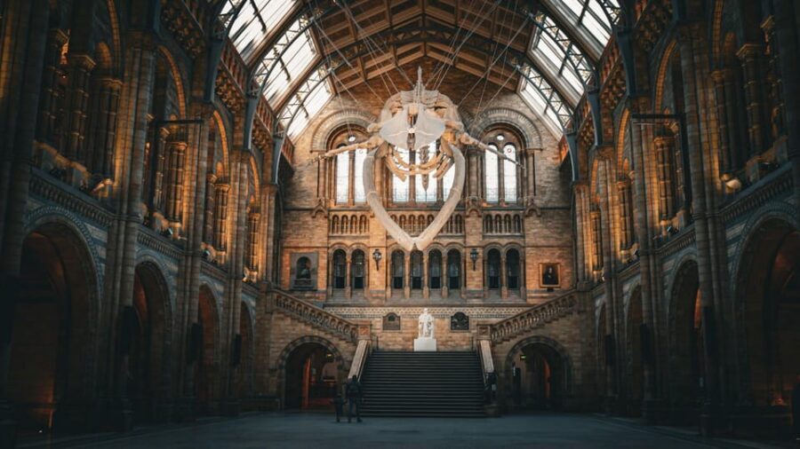 London: Guided Tour of the Natural History Museum - Natural History Museum 101: what this 2-hour tour is really for