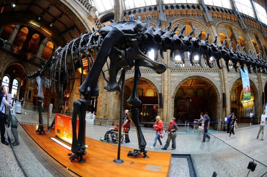 London: Guided Tour of the Natural History Museum - Earth Sciences Gallery: Volcanoes and Earthquakes, plus gemstones and rocks