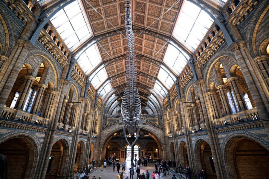 London: Guided Tour of the Natural History Museum - Meeting at South Kensington: the details that keep you on track