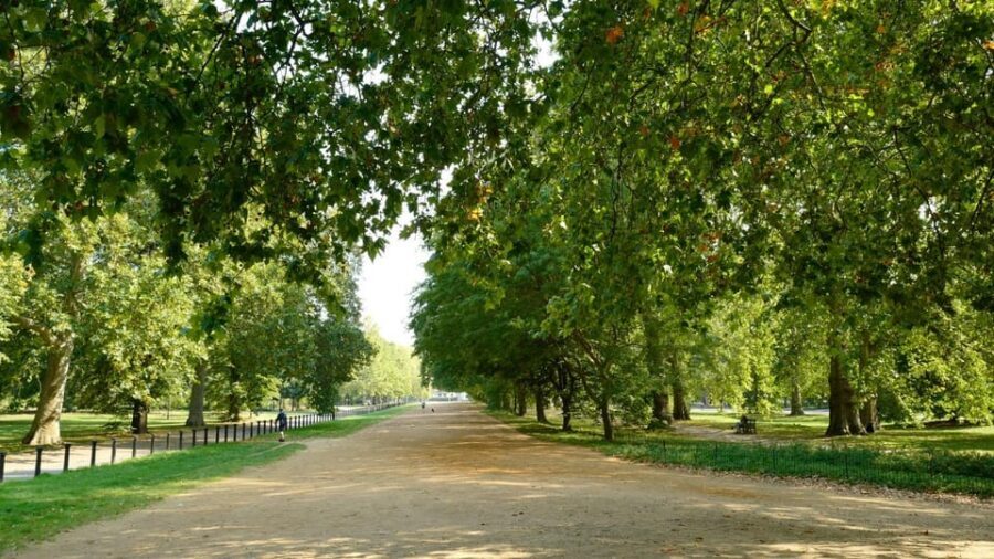 London: Hop-On Hop-Off Pass with Thames River Cruise 24 Hrs - Thames River Cruise by City Cruises: 40 minutes one-way from Westminster or Tower