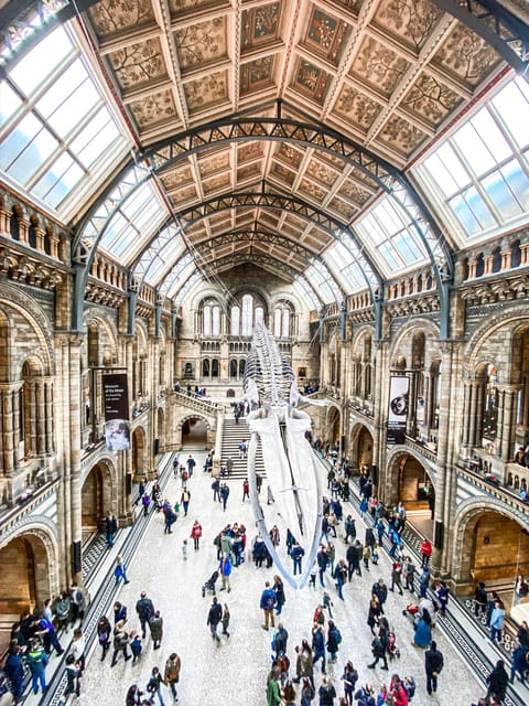 London: Natural History Museum Guided Tour - Key highlights (the stuff you’ll remember)