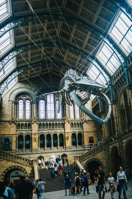 London: Natural History Museum Guided Tour - Why this Natural History Museum tour works in 2.5 hours