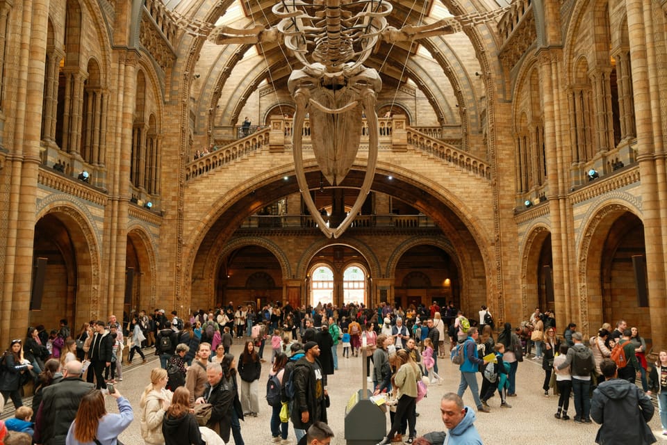London: Natural History Museum Guided Tour - Archaeopteryx and Darwin’s milestones: evolution in human-scale form