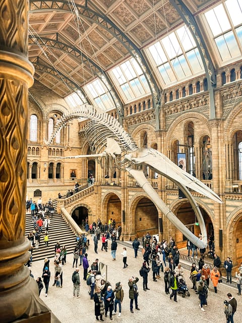 London: Natural History Museum Guided Tour - Deep time start: Iguanodon teeth and Sophie the Stegosaurus