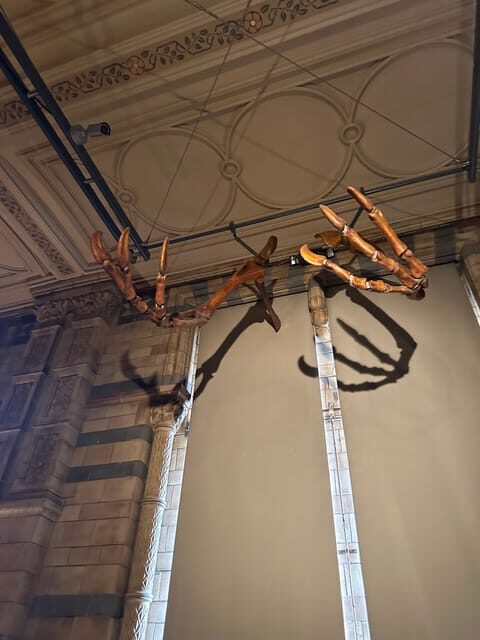 London: Natural History Museum Private Guided Tour - A 2-Hour Private Route Through the Natural History Museum’s Best Displays