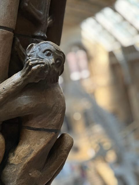 London: Natural History Museum Private Guided Tour - Should You Book This Private Natural History Museum Tour?