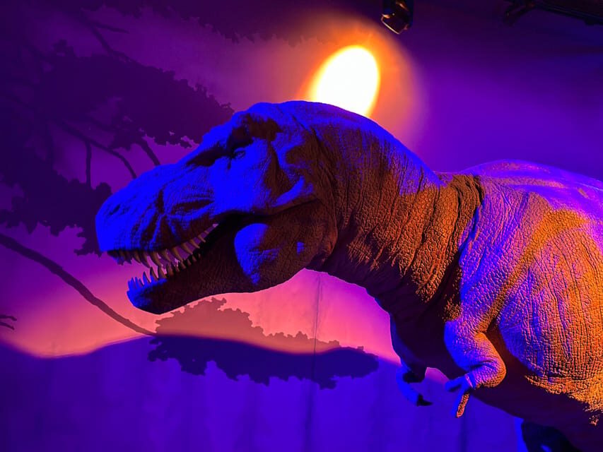 London: Natural History Museum Private Guided Tour - From Fossil to Breakthrough: The People Behind Natural World Science