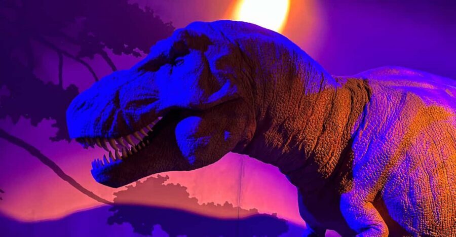 London: Natural History Museum Private Guided Tour - What Makes the Private Format Feel Worth It