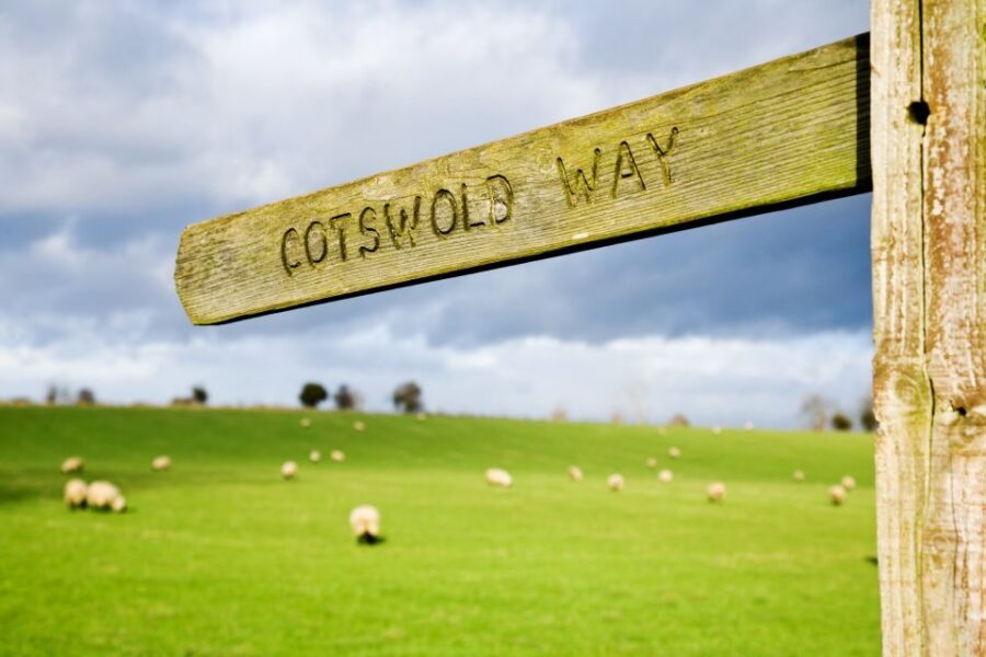 London: Oxford, Stratford, Cotswolds, and Warwick Day Trip - Warwick Castle: Medieval Host Energy and State Rooms