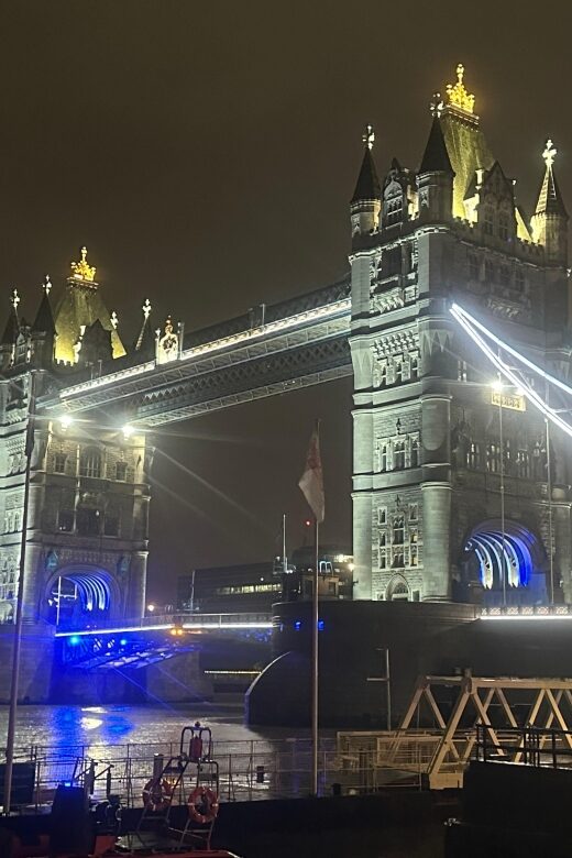 London: Private Black Cab Night Tour with Hotel Pick Up - Getting Picked Up in Central London (and Staying Warm)