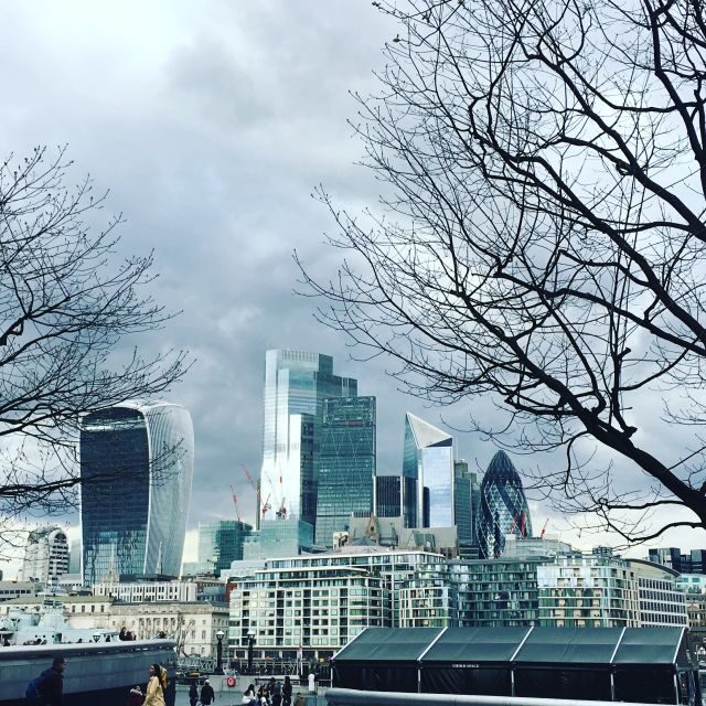 London: Private Intro Walk with a Local Guide - Meeting at Canada Gate and setting your walking rhythm