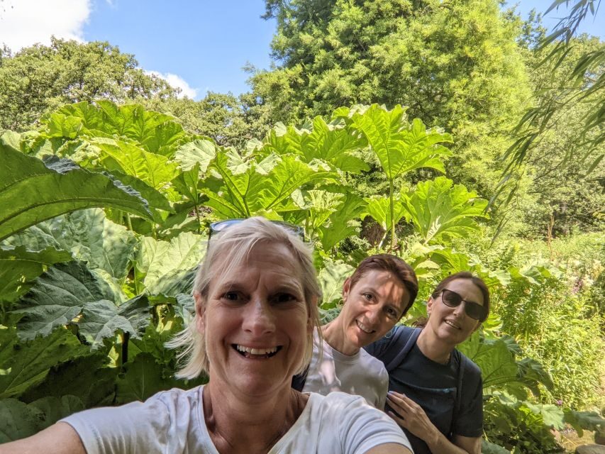 London: Royal Deer Park Bike Tour - The end-of-day tea picnic and homemade cakes