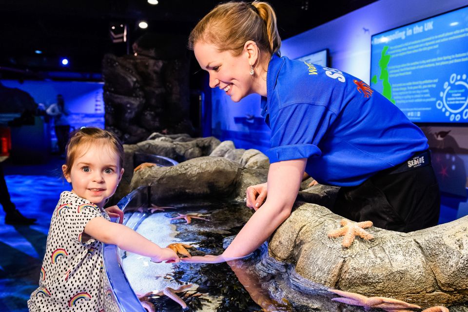 London: SEA LIFE Entry Ticket - Key highlights I’d center your day around