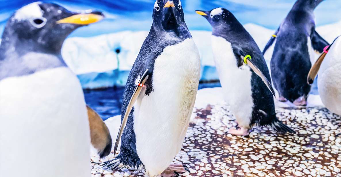 London: SEA LIFE Entry Ticket - Ice Adventure and Gentoo Penguins: a cold-weather break in London