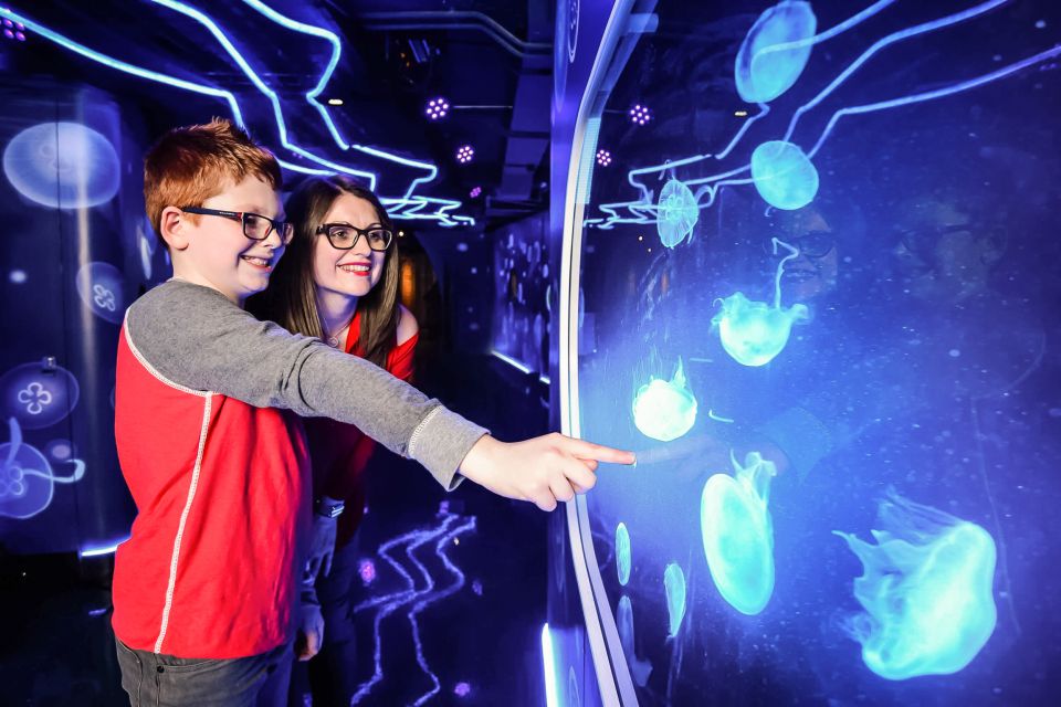 London: SEA LIFE Entry Ticket - Rainforest Adventure with Ranger Andy: tarantulas, ants, and piranhas