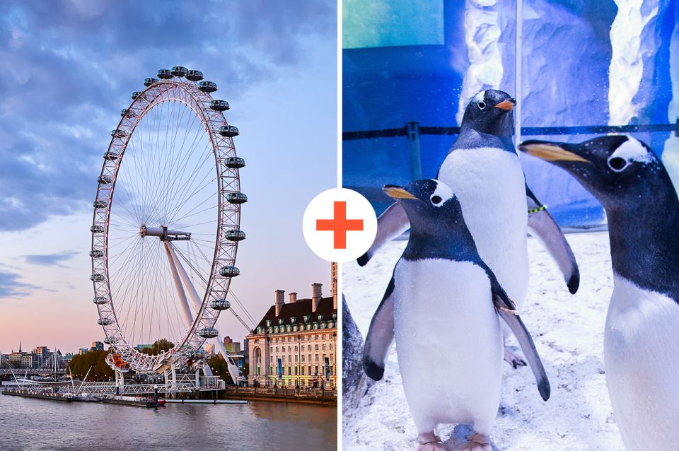 London: SEA LIFE & London Eye Combo Ticket - Why this SEA LIFE and London Eye combo makes sense on the Southbank