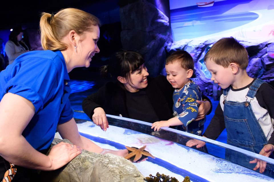 London: SEA LIFE & London Eye Combo Ticket - Price and value: is $66 per person a fair deal?