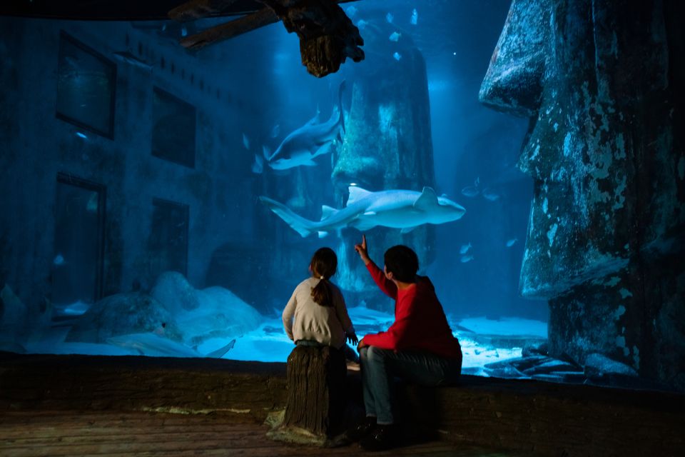 London: SEA LIFE & London Eye Combo Ticket - Crowds, lines, and how to avoid the annoying parts