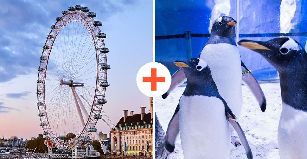 London: SEA LIFE & London Eye Combo Ticket - Quick practical checklist before you go