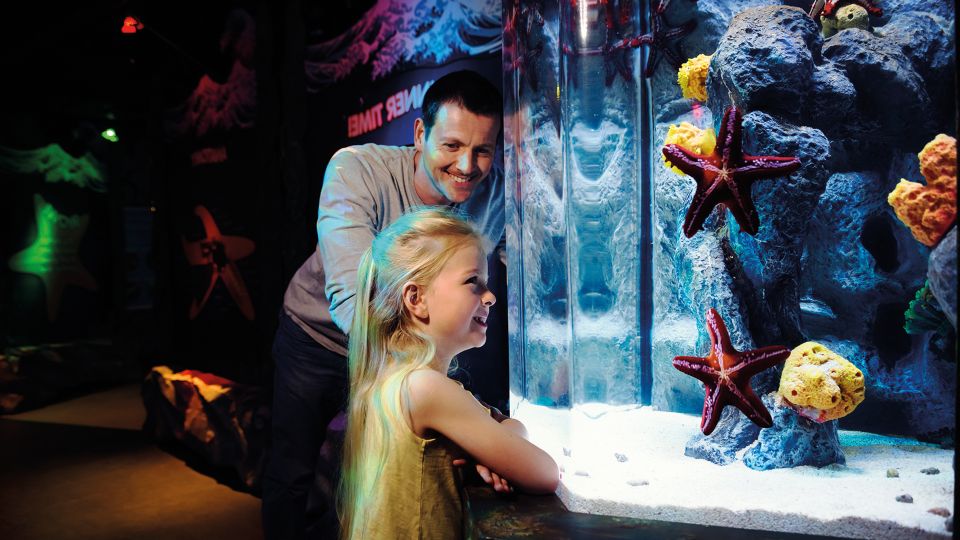 SEA LIFE London & DreamWorks Shrek's Adventure: Combo Ticket - Who this combo is best for (and who should reconsider)