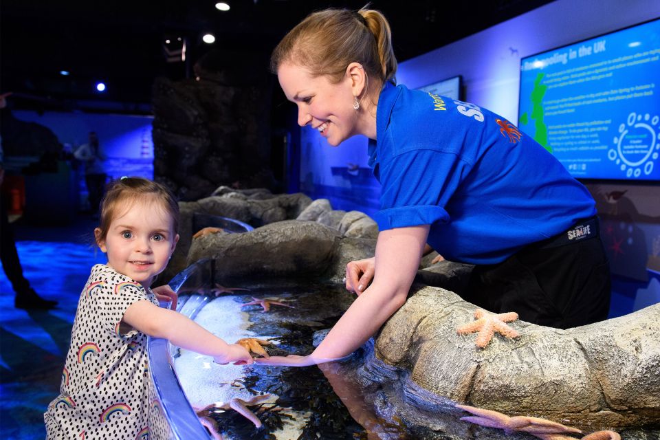 SEA LIFE London & DreamWorks Shrek's Adventure: Combo Ticket - The live fairytales: 12 shows and multi-sense effects