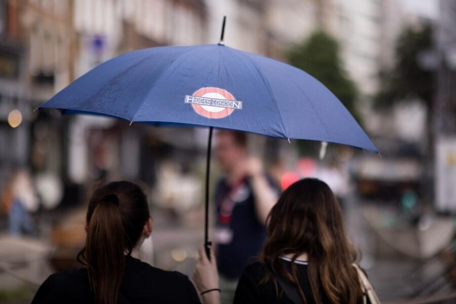 Secrets of Central London Walking Tour - Embankment Gardens and the Thames: why trains sound so close