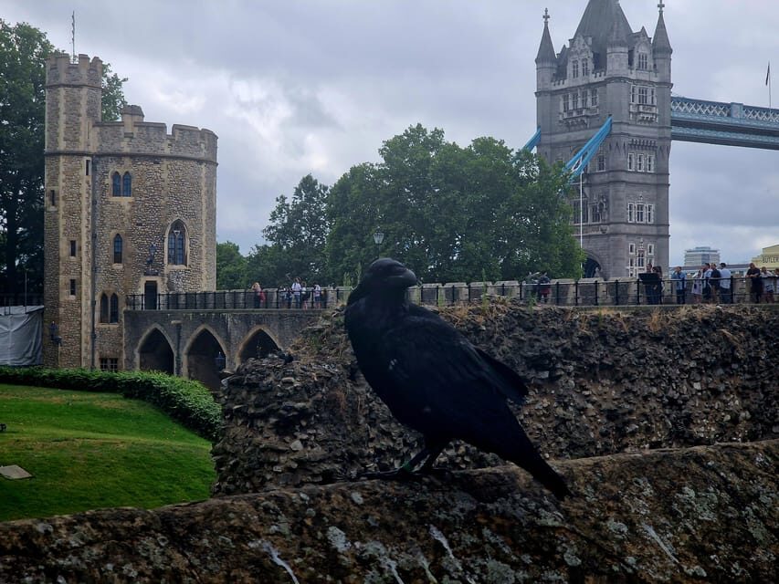 Tower of London Crown Jewels and English Royal History Tour - What to know before you go: walking, rules, and pacing